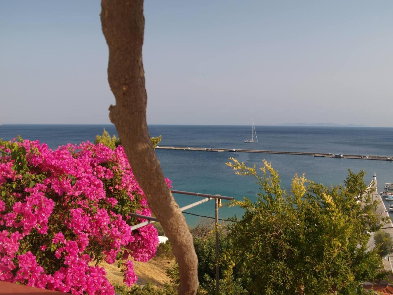 Olympiada View Ξενοδοχείο Πυθαγόρειο Εξωτερικό φωτογραφία
